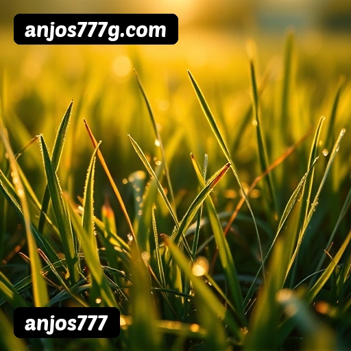 Tabela RTP dos jogos de cassino da anjos777